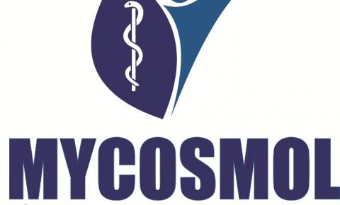Mycosmol